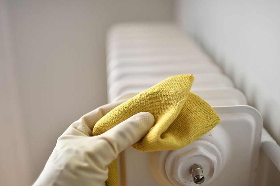 Cleaning Radiator